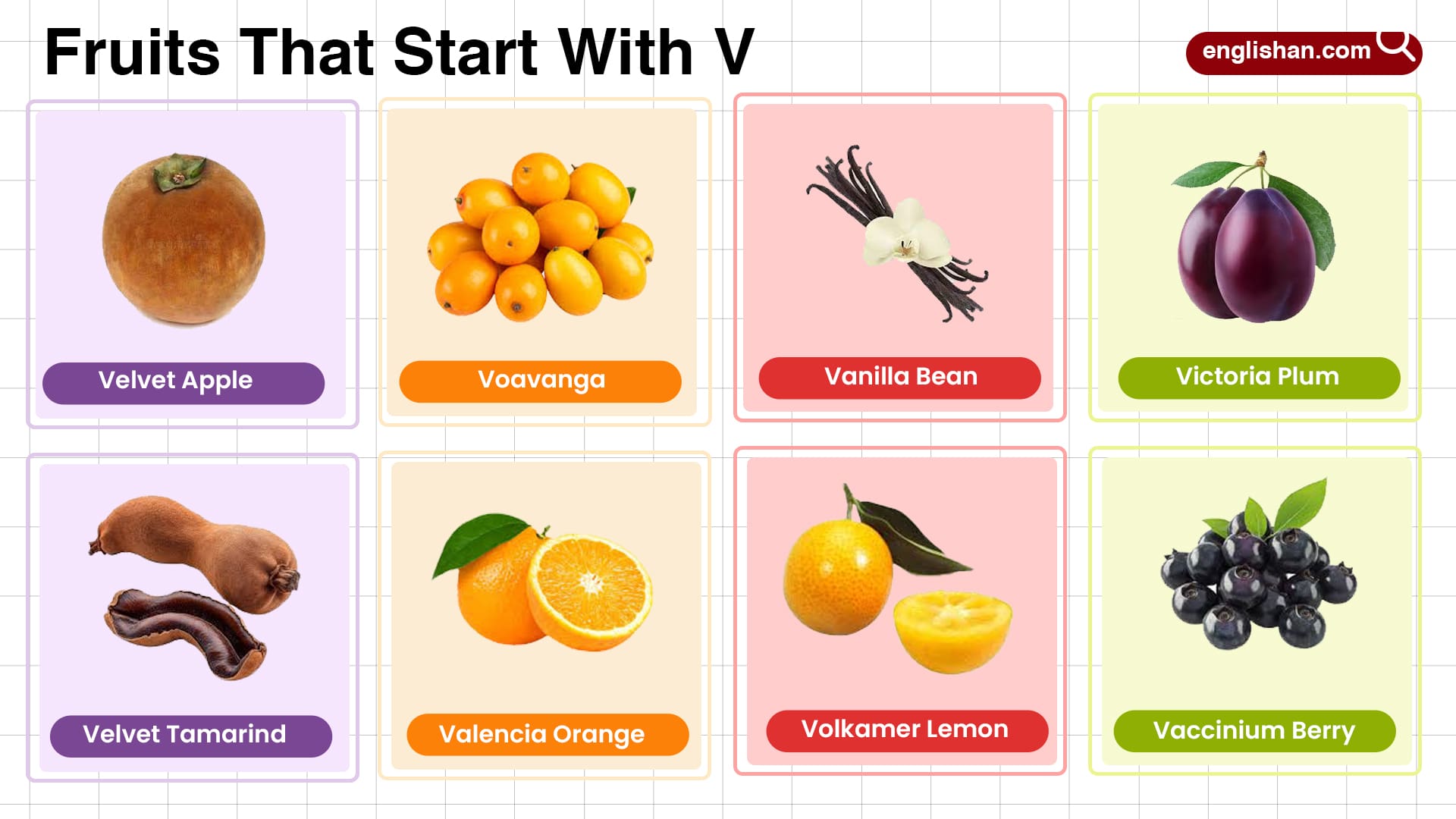 fruits that start with v - Article 1